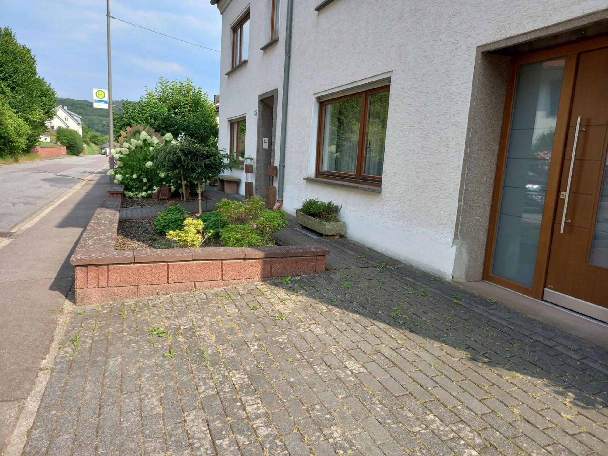 Ferienwohnung Waldblick Trassem Exterior foto